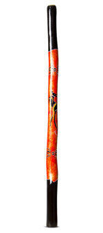 Suzanne Gaughan Didgeridoo (JW696)